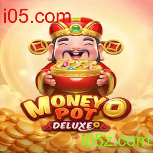 MoneyPotDELUXE